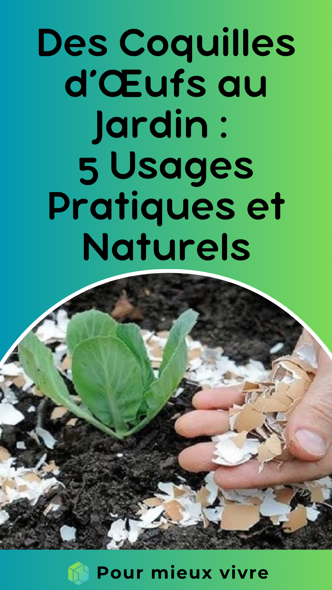 Des Coquilles d’Œufs au Jardin